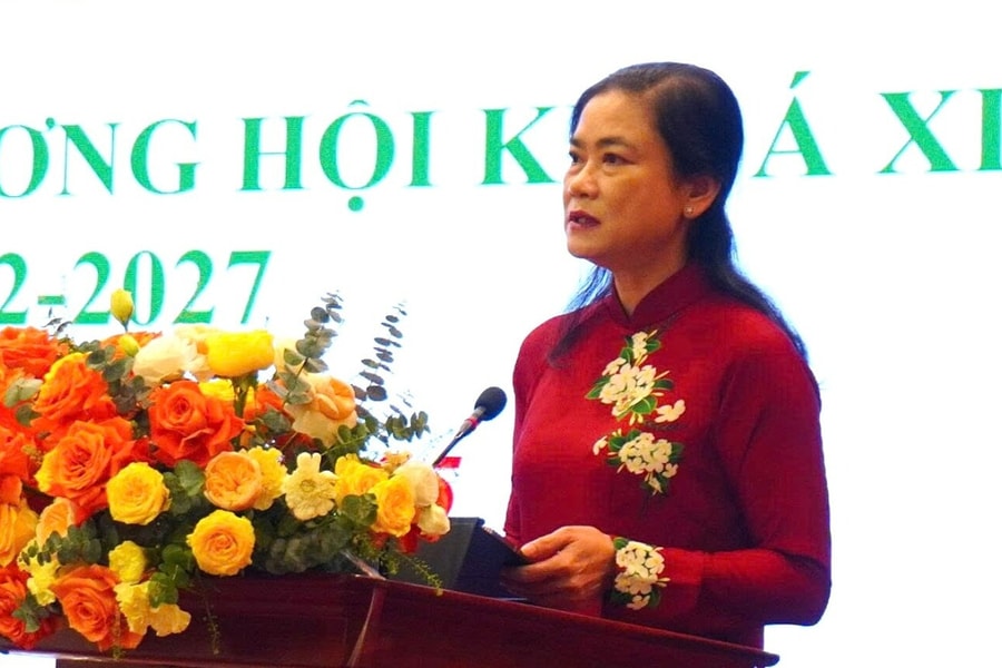 Bà Đỗ Thị Thu Thảo làm Chủ tịch Hội Chữ thập đỏ Việt Nam