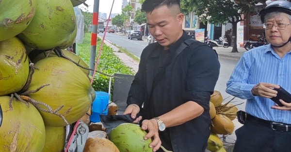 Xuất khẩu dừa tươi nhìn từ bài học sầu riêng, thanh long