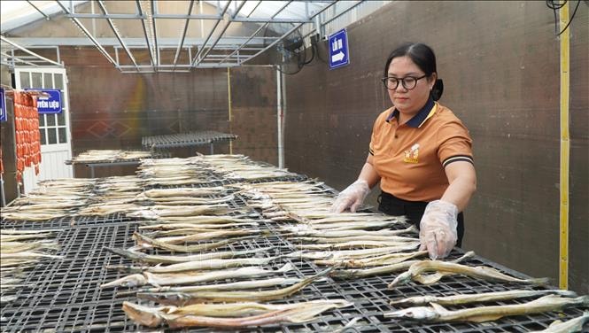 Phụ nữ vùng biên Đồng Tháp khởi nghiệp từ 'tài nguyên bản địa'