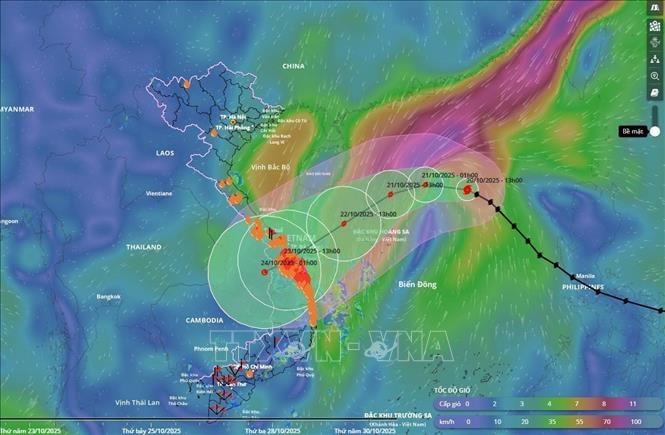 Bão số 12 dự kiến đổ bộ từ Đà Nẵng đến Quảng Ngãi, hoàn lưu bão gây mưa lũ lớn diện rộng