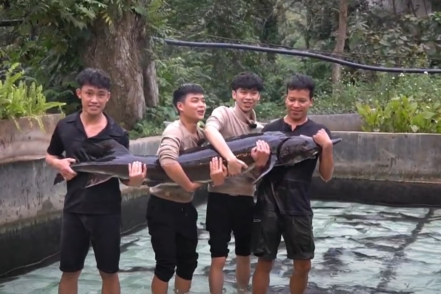 Cá tầm lớn nhất Việt Nam được chào giá trong Tuần lễ nông sản Việt 2025