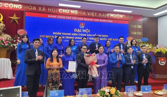 Tuổi trẻ Cơ quan Ủy ban Trung ương Mặt trận Tổ quốc Việt Nam tiên phong trong chuyển đổi số