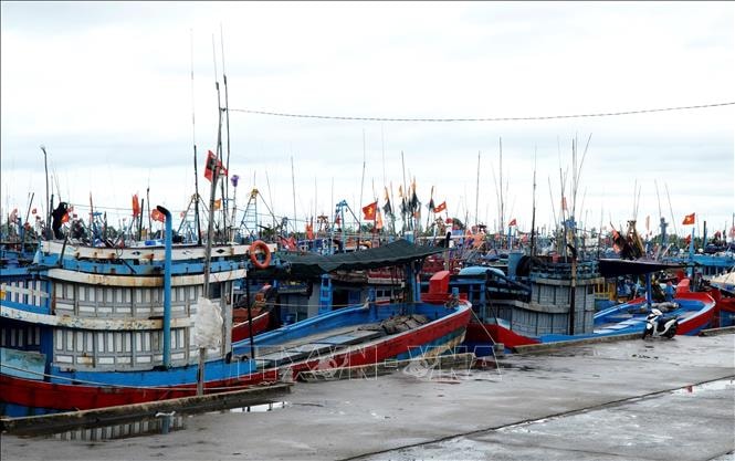 Khẩn cấp kêu gọi tàu thuyền vào bờ tránh trú bão số 12