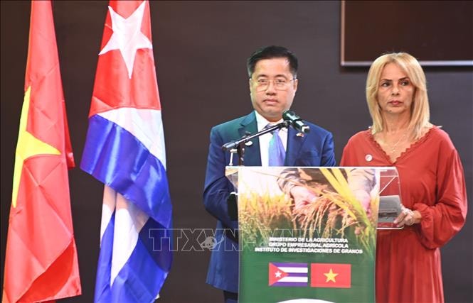 'Hạt vàng' của tình hữu nghị Việt Nam-Cuba