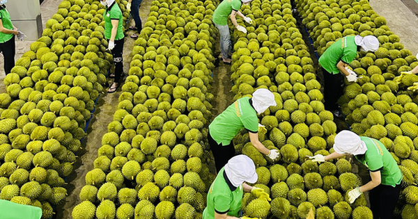 Trung Quốc ra quy định mới về nhập khẩu nông sản