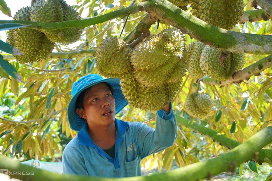 Trung Quốc siết quy định nhập khẩu nông sản
