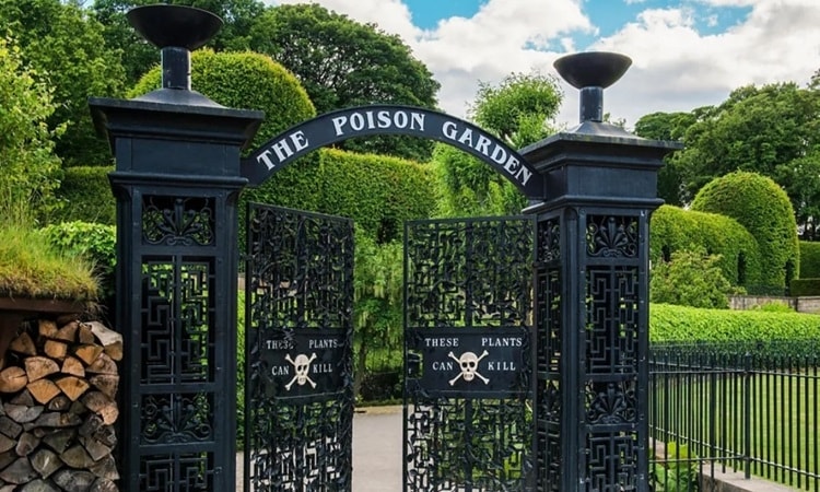 Vườn độc dược nguy hiểm nhất thế giới