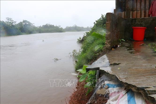 Sạt lở bờ sông đe dọa cuộc sống nhiều hộ dân Triệu Bình (Quảng Trị)