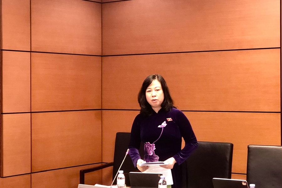 Bộ trưởng Đào Hồng Lan: Xem xét kỹ lưỡng, chặt chẽ quy định việc mang thai hộ