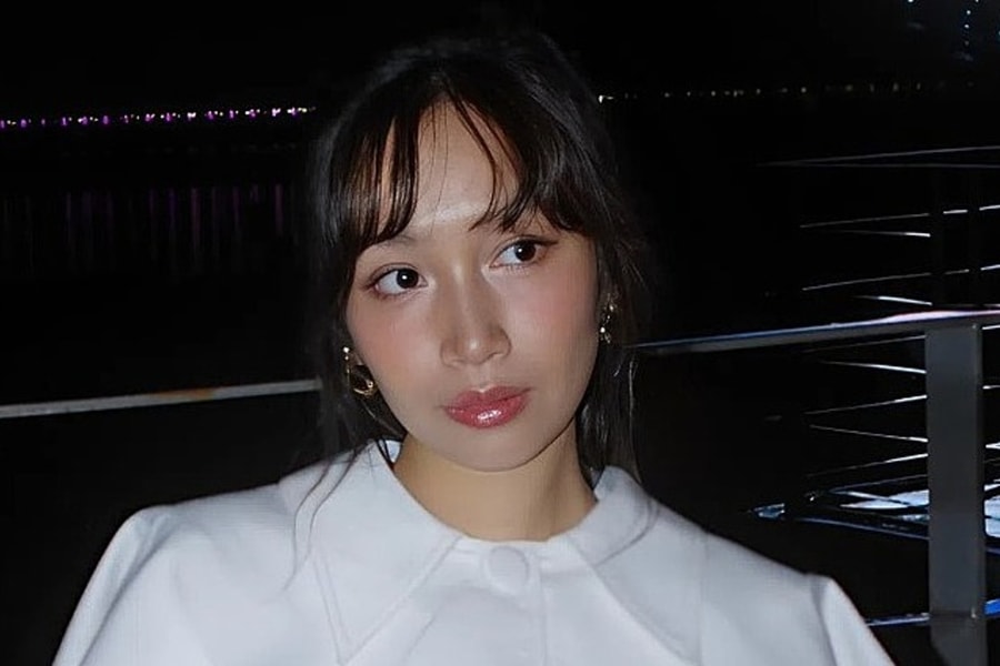 Mỹ Anh biểu diễn tại sự kiện chào mừng APEC