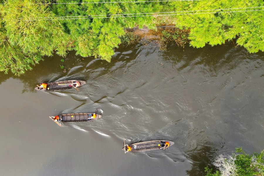 Đua xuồng ba lá giữa rừng tràm Đồng Tháp