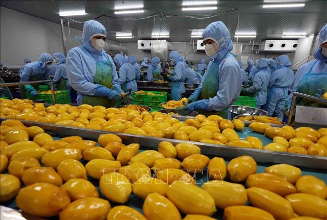 Thu thêm hàng chục tỉ đô nếu nâng tầm giá trị nông sản Việt