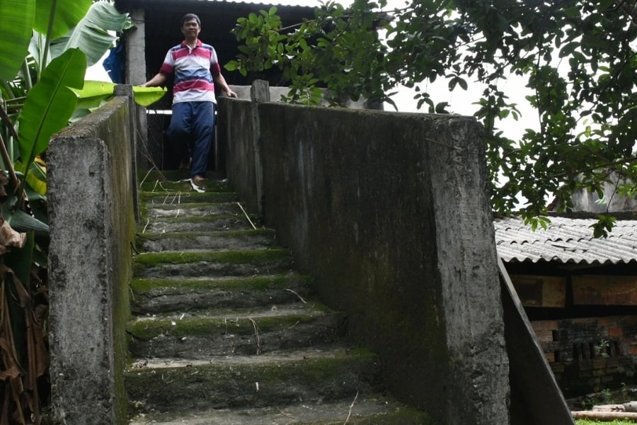 Người dân xây “nhà lầu” cho heo, bò tránh lũ