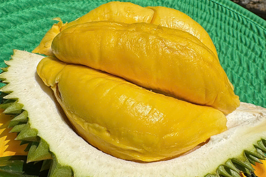 Việt Nam tăng xuất khẩu rau quả sang Đài Loan