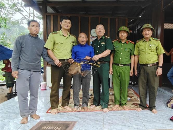 Tiếp nhận từ người dân một con khỉ đuôi lợn thuộc nhóm nguy cấp, quý hiếm