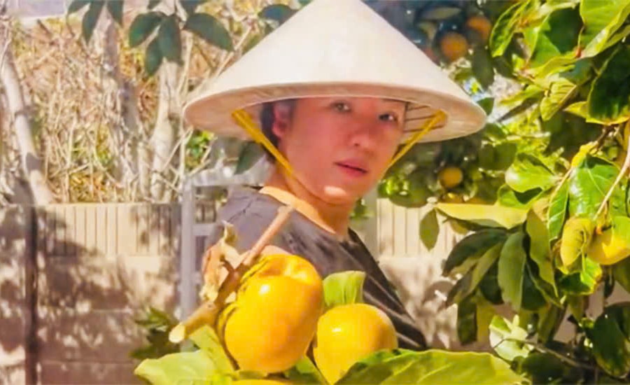 Vườn cây trĩu quả của Thúy Nga