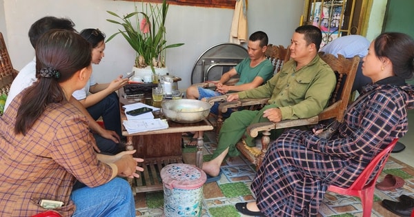 Truy thu tiền thuê đất của hàng trăm công nhân, lãnh đạo Công ty cà phê 719 nói gì?