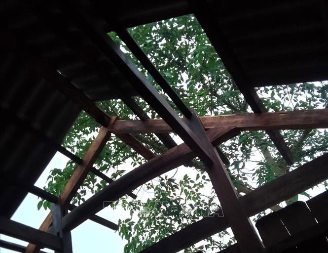 Lốc xoáy trong đêm gây thiệt hại gần 1 tỷ đồng tại Cà Mau