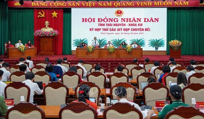 Cơ cấu, thành phần người được giới thiệu ứng cử đại biểu Hội đồng nhân dân