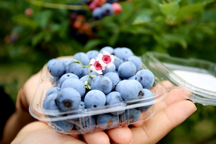 Nên ăn uống gì để thận khỏe?