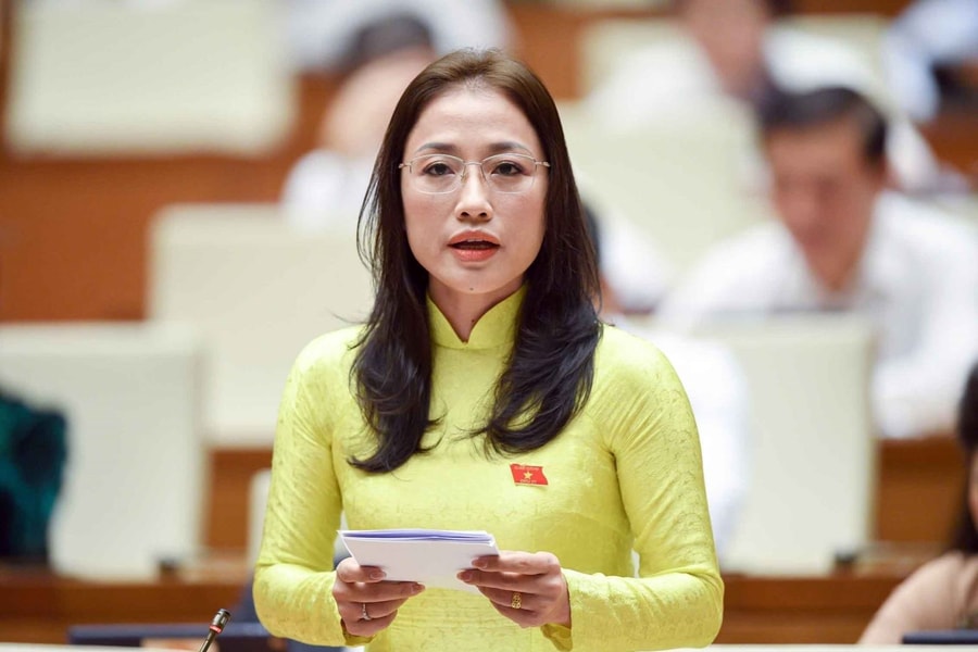 Đại biểu Quốc hội lo lắng về tình trạng bạo lực trong bệnh viện