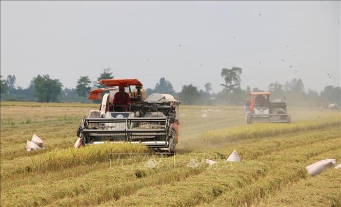 Việt Nam trở thành nước ký bản ghi nhớ thương mại gạo đầu tiên của Singapore