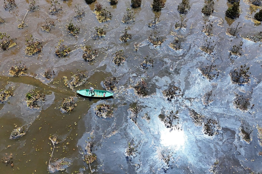 Nhà vườn bạc tỷ ở miền Tây xác xơ sau triều cường lịch sử