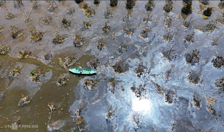 Hai trận lụt đánh chìm giấc mơ tỷ phú sầu riêng