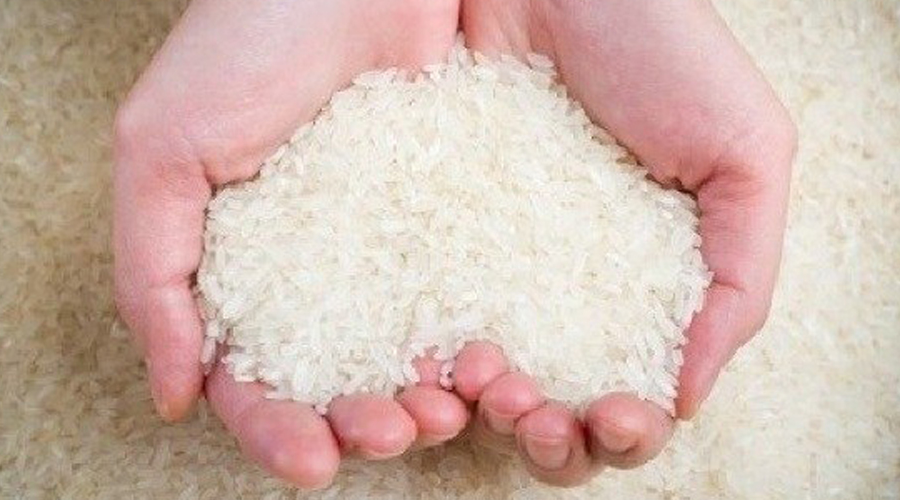 Xuất cấp hơn 700 tấn gạo và vật tư dự trữ quốc gia hỗ trợ Tuyên Quang, Quảng Ngãi