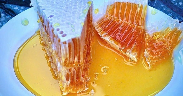 Tuyệt chiêu nhận biết mật ong nguyên chất đã bị pha nước