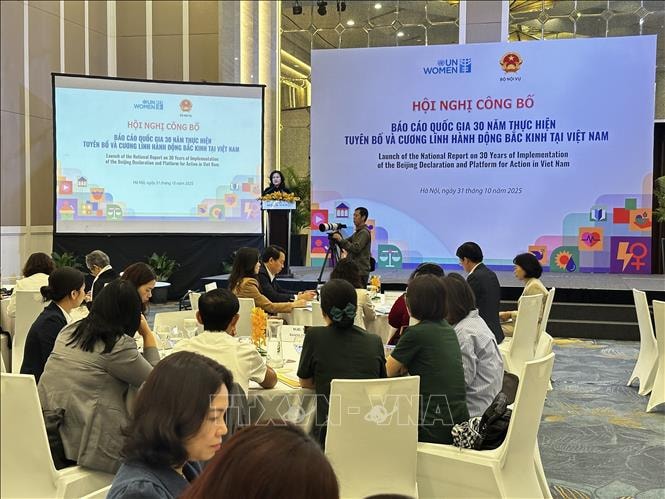 Công bố Báo cáo quốc gia 30 năm thực hiện Tuyên bố và Cương lĩnh hành động Bắc Kinh tại Việt Nam