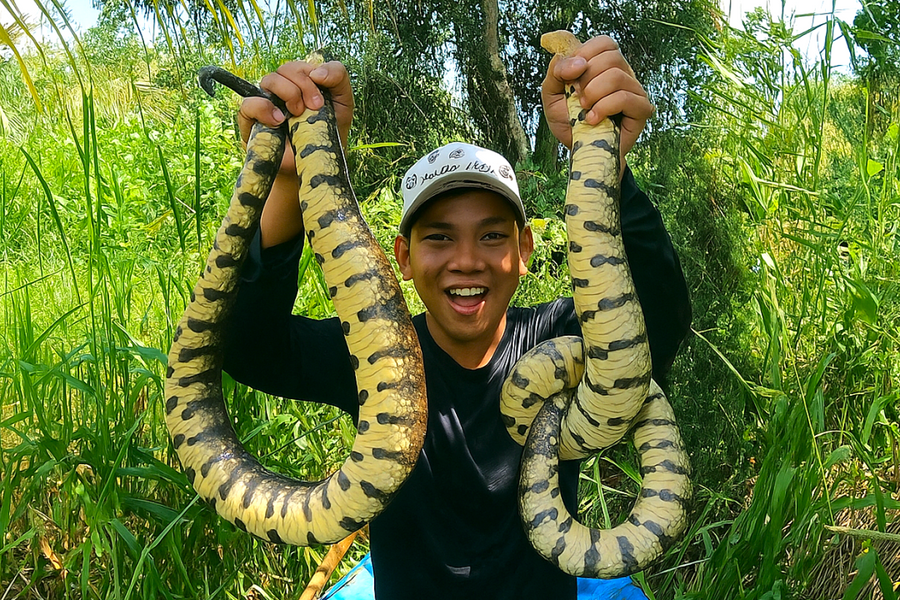 Chàng trai thu hàng trăm triệu đồng nhờ sản vật dưới rừng tràm