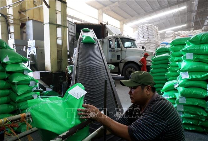 Hình mẫu xây dựng mạng lưới an ninh lương thực ASEAN