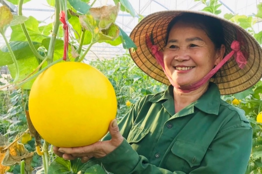 Nghệ An giảm nghèo đạt mục tiêu, hướng tới thực chất