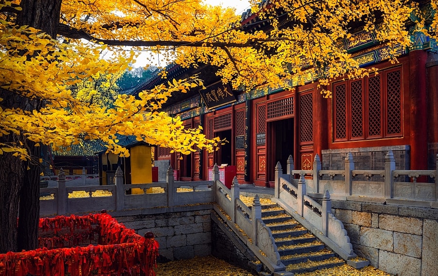 Nước nào có biên giới giáp nhiều quốc gia nhất hành tinh?