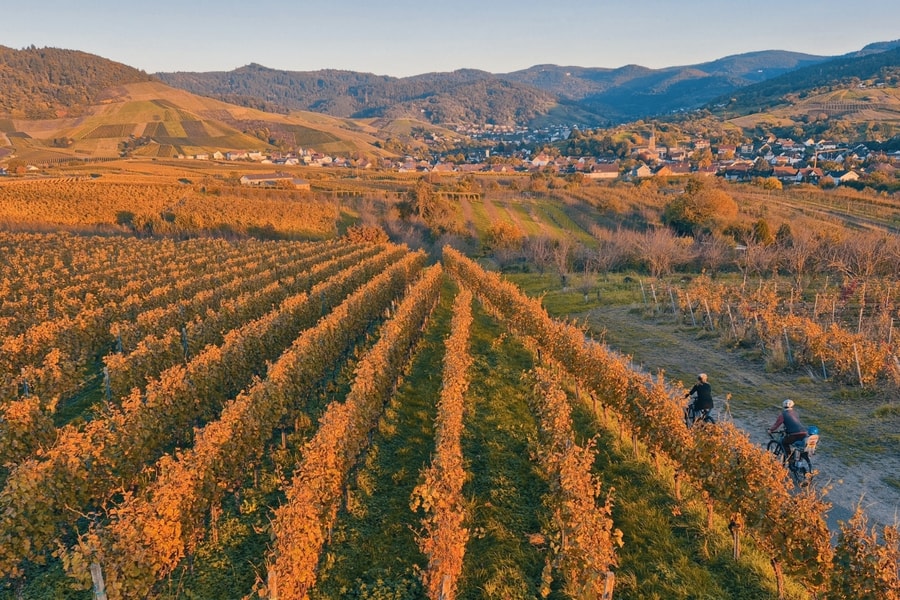 Ngắm thu ngập sắc vàng ở Rừng Đen nổi tiếng tây nam Đức