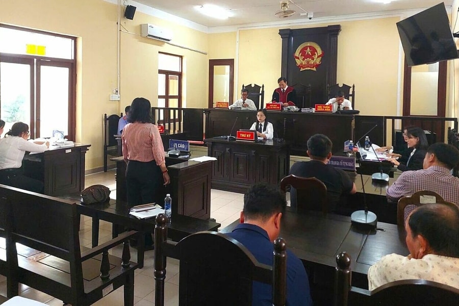 Nữ đại gia miền Tây 'hủy hoại tài sản 35 triệu đồng' ra tòa