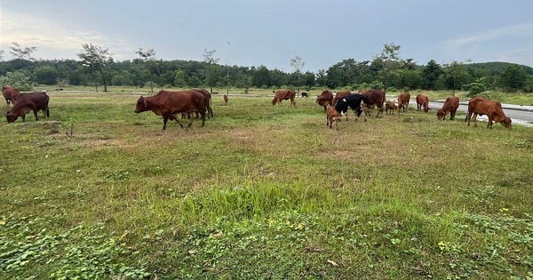 Cận cảnh dự án khu dân cư bị kết luận sai phạm ở Đồng Nai