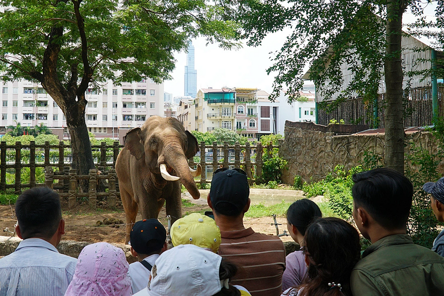 Thảo Cầm Viên lãi nhờ bán hơn 5.500 vé mỗi ngày