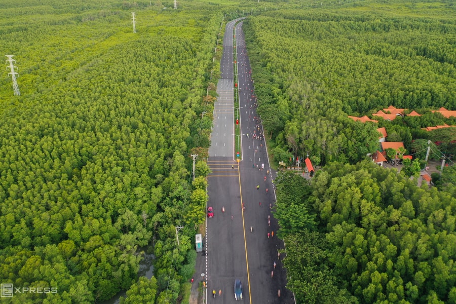 TP HCM sẽ giữ nguyên gần 35.000 ha rừng ngập mặn Cần Giờ