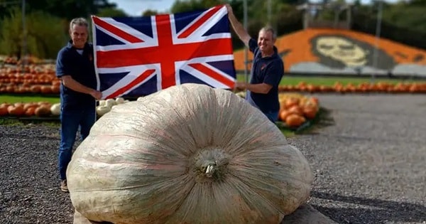 Cặp sinh đôi người Anh lập kỷ lục thế giới với quả bí ngô khổng lồ nhất từng thấy