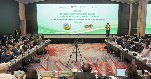 Việt Nam - Ireland tăng cường hợp tác chuyển đổi hệ thống nông nghiệp và thực phẩm