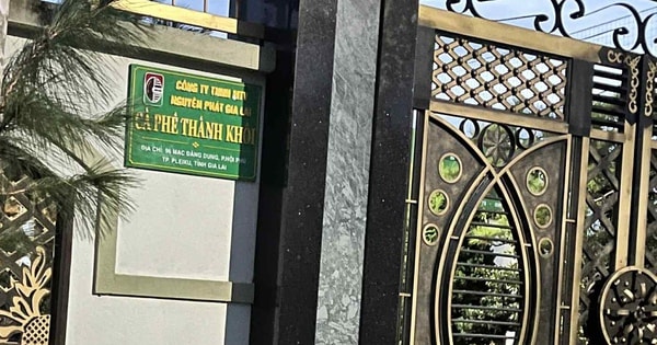 Công an tỉnh Gia Lai đang điều tra vụ việc có dấu hiệu sản xuất, buôn bán hàng giả là thực phẩm