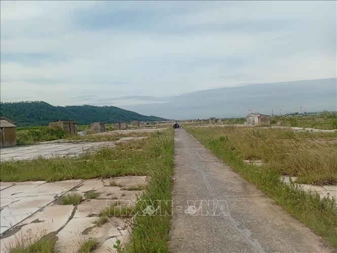 Muối rớt giá, những đồng muối ở xứ Thanh hoang hóa từng ngày