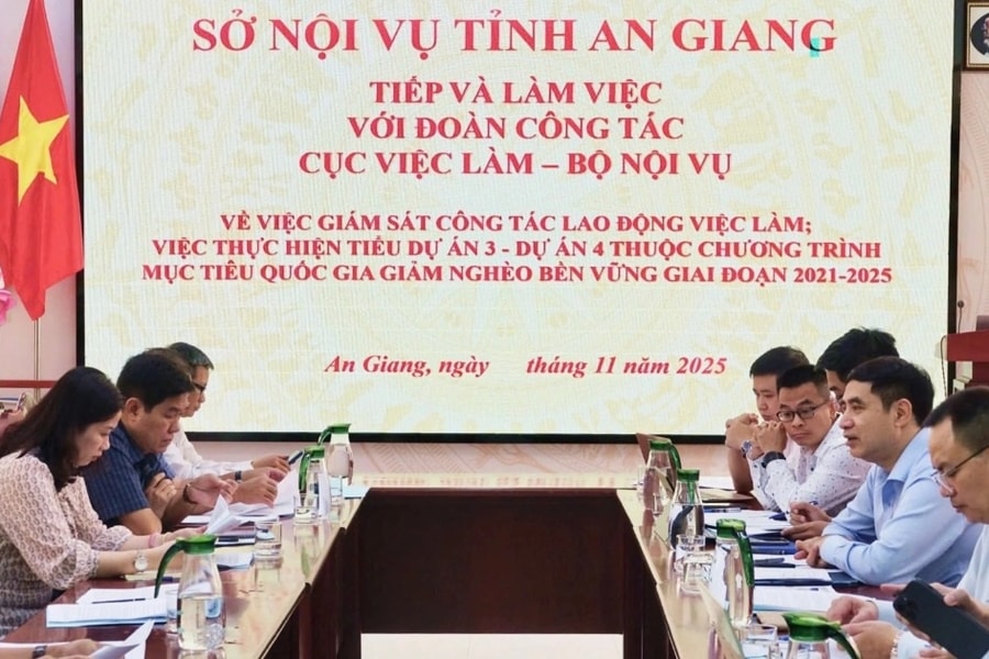 Cục Việc làm làm việc với An Giang về hỗ trợ việc làm bền vững