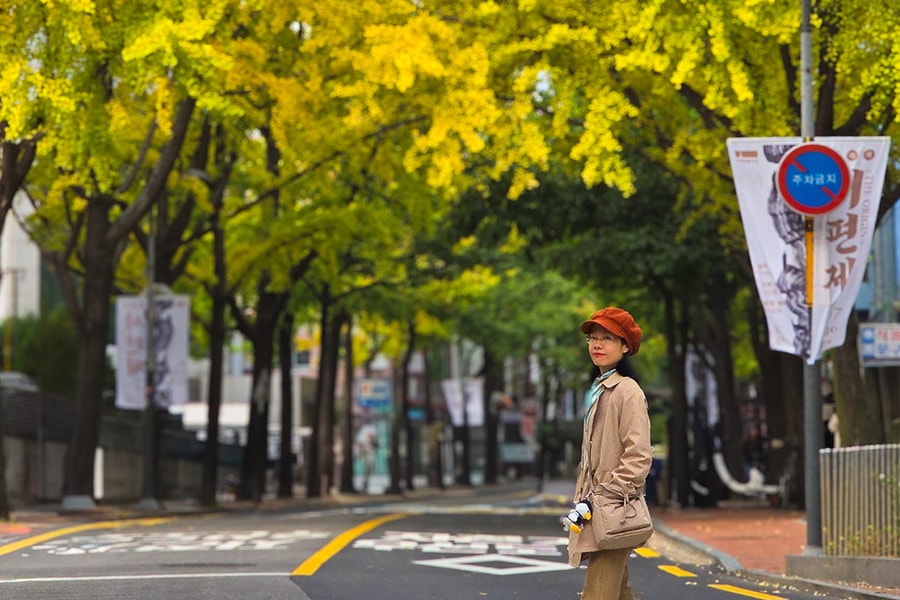 Chọn nơi ngắm lá vàng đỏ đẹp nhất ở Seoul