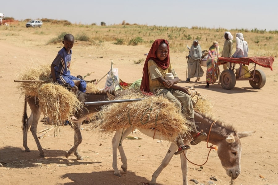 Hành trình địa ngục thoát khỏi 'cánh đồng chết' ở Sudan