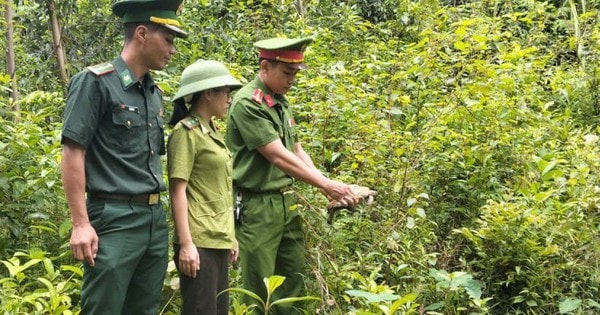 Người dân vùng biển bất ngờ bắt được rùa quý hiếm nằm trong Sách đỏ