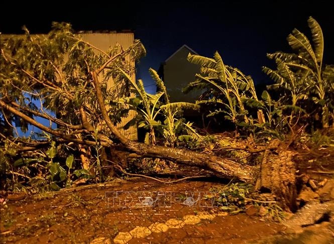 Quảng Ngãi khẩn cấp di dời dân trong đêm