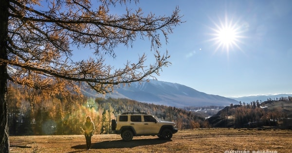 Mùa thu ở Tân Cương trải dài như dải lụa vàng giữa trời và đất